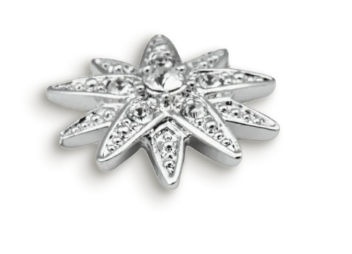 Sisi Stern Preview Ansicht